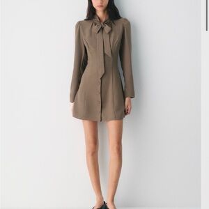 Aritzia Bambi Dress and Convey Poplin Blouse